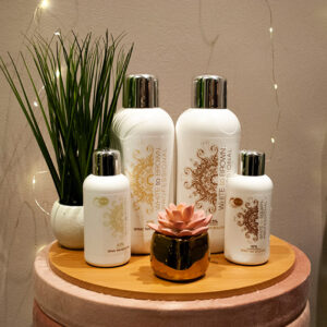 spraytan2 (1) spraytan2 (1)